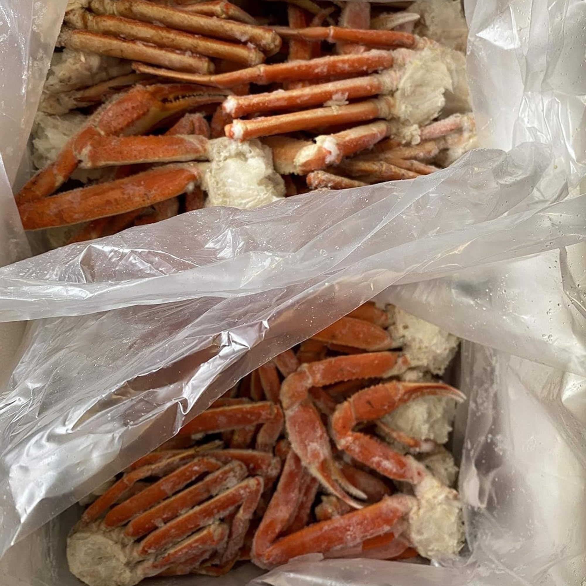 Amazon.com: Today Gourmet Foods of NC- Snow Crab Legs- 8oz-10oz